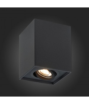 ST109.407.01 Светильник потолочный Мат. черный GU10 1*50W L100xW100xH123 220V Без ламп QUADRUS-foto5