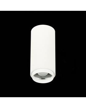 ST600.532.10 Светильник потолочный Zoom Белый LED 1*10W 3000K 1 000Lm Ra>80 15-60° IP20 D59xH130 170-240VV ZOOM-foto4