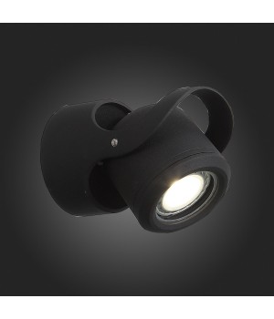 SL093.401.01 Светильник уличный настенный ST-Luce Черный/Черный, Прозрачный G5,3 1*3W ROUND-foto5