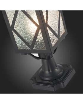 SL084.405.01 Светильник уличный наземный ST-Luce Черный/Черный, Прозрачный E27 1*60W LORNE-foto9