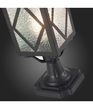 SL084.405.01 Светильник уличный наземный ST-Luce Черный/Черный, Прозрачный E27 1*60W LORNE-foto9