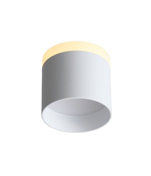 ST102.502.12 Светильник потолочный Белый LED 1*12W 3000K 936Lm Ra>80 120° IP20 D100xH90 170-240V PANAGGIO-foto3