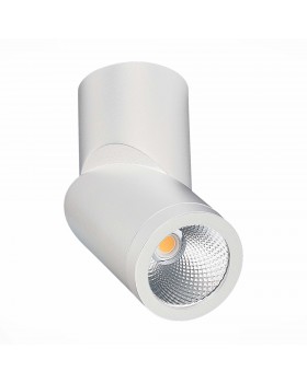 ST650.542.10 Светильник потолочный Белый LED 1*10W 4000K 800Lm Ra>90 38° IP44 D60xH175 165-265V ST650-foto2
