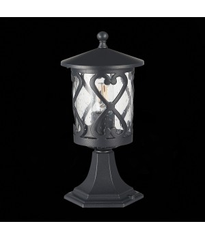 SL085.405.01 Светильник уличный наземный ST-Luce Черный/Черный, Прозрачный E27 1*60W LORNE-foto5