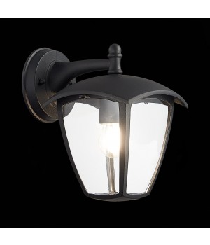 SL081.411.01 Светильник уличный настенный ST-Luce Черный/Черный, Прозрачный E27 1*40W SIVINO-foto4