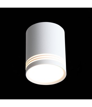 ST101.542.12 Светильник потолочный Белый LED 1*12W 4000K 936Lm Ra>80 120° IP20 D79xH100 170-240V CERIONE-foto4