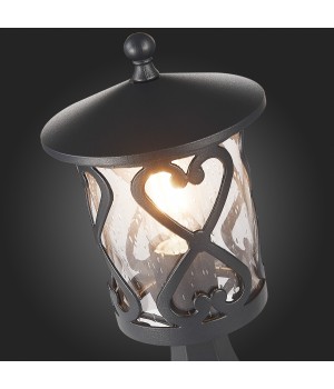 SL085.405.01 Светильник уличный наземный ST-Luce Черный/Черный, Прозрачный E27 1*60W LORNE-foto9