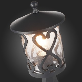 SL085.405.01 Светильник уличный наземный ST-Luce Черный/Черный, Прозрачный E27 1*60W LORNE-foto9