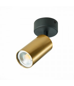 ST303.202.01 Потолочный светильник Золотистый GU10 1*50W IP20 D70xH168 220V Без ламп DARIO-foto2