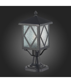 SL084.405.01 Светильник уличный наземный ST-Luce Черный/Черный, Прозрачный E27 1*60W LORNE-foto8