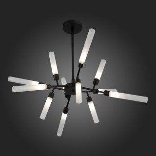 SL1620.402.12 Люстра потолочная ST-Luce Черный/Белый G9 12*5W SPLIO-foto4