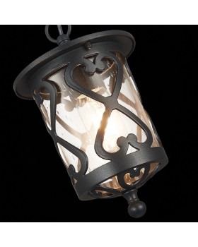 SL085.403.01 Светильник уличный подвесной ST-Luce Черный/Черный, Прозрачный E27 1*60W LORNE-foto6