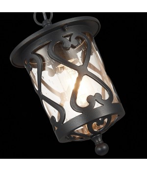 SL085.403.01 Светильник уличный подвесной ST-Luce Черный/Черный, Прозрачный E27 1*60W LORNE-foto6