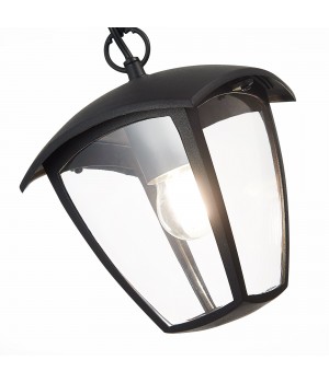 SL081.403.01 Светильник уличный подвесной ST-Luce Черный/Черный, Прозрачный E27 1*40W SIVINO-foto3