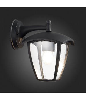 SL081.411.01 Светильник уличный настенный ST-Luce Черный/Черный, Прозрачный E27 1*40W SIVINO-foto9