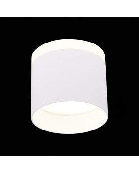 ST102.542.12 Светильник потолочный Белый LED 1*12W 4000K 936Lm Ra>80 120° IP20 D100xH90 170-240V PANAGGIO-foto3