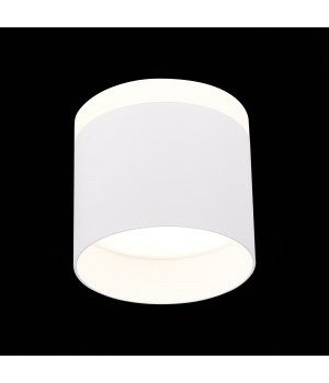 ST102.542.12 Светильник потолочный Белый LED 1*12W 4000K 936Lm Ra>80 120° IP20 D100xH90 170-240V PANAGGIO-foto3