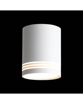 ST101.542.12 Светильник потолочный Белый LED 1*12W 4000K 936Lm Ra>80 120° IP20 D79xH100 170-240V CERIONE-foto3
