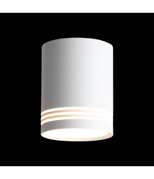 ST101.542.12 Светильник потолочный Белый LED 1*12W 4000K 936Lm Ra>80 120° IP20 D79xH100 170-240V CERIONE-foto3