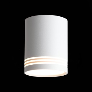 ST101.542.12 Светильник потолочный Белый LED 1*12W 4000K 936Lm Ra>80 120° IP20 D79xH100 170-240V CERIONE-foto3