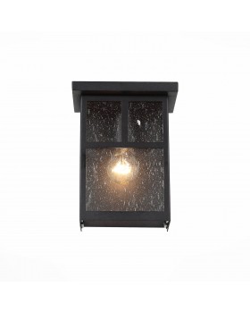 SL079.401.01 Светильник уличный настенный ST-Luce Темный кофе/Прозрачное кракелированное стекло E27 1*60W GLAZGO-foto2