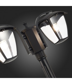 SL081.405.02 Светильник уличный наземный ST-Luce Черный/Черный, Прозрачный E27 2*40W SIVINO-foto3