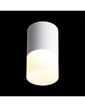 ST100.542.10 Светильник потолочный Белый LED 1*10W 4000K 780Lm Ra>80 120° D78xH135 170-240V OTTU-foto4