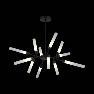 SL1620.402.12 Люстра потолочная ST-Luce Черный/Белый G9 12*5W SPLIO-foto9