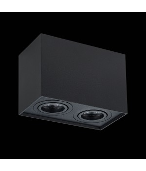 ST109.407.02 Светильник потолочный Мат. черный GU10 2*50W L181xW100xH123 220V Без ламп QUADRUS-foto4