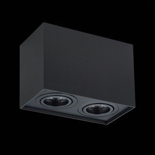 ST109.407.02 Светильник потолочный Мат. черный GU10 2*50W  L181xW100xH123 220V Без ламп QUADRUS-foto4