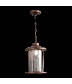 SL080.403.01 Светильник уличный подвесной ST-Luce Темный кофе/Прозрачный, Темный кофе E27 1*60W LASTERO-foto4