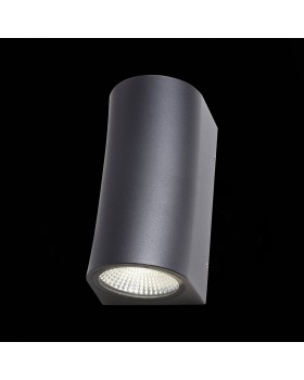 SL088.411.02 Светильник уличный настенный ST-Luce Черный кварцевый LED 2*5W 4000K DEALE-foto9