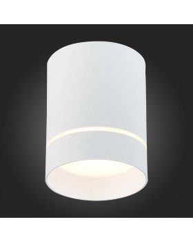 ST115.532.12 Светильник потолочный Белый LED 1*12W 3000K 840Lm Ra>90 120° IP20 D79xH100 170-240V ST115-foto4