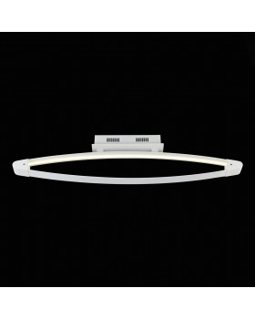 SL920.102.01 Светильник потолочный ST-Luce Белый/Белый LED 1*27,3W 4000K ORIONE-foto2