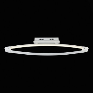 SL920.102.01 Светильник потолочный ST-Luce Белый/Белый LED 1*27,3W 4000K ORIONE-foto2