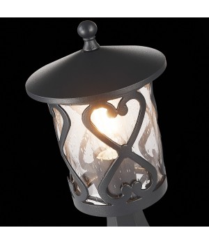 SL085.405.01 Светильник уличный наземный ST-Luce Черный/Черный, Прозрачный E27 1*60W LORNE-foto6