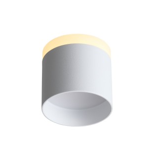 ST102.502.09 Светильник потолочный Белый LED 1*9W 3000K 702Lm Ra>80 120° IP20 D79xH75 170-240V PANAGGIO-foto3