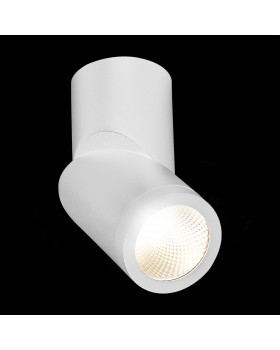 ST650.542.10 Светильник потолочный Белый LED 1*10W 4000K 800Lm Ra>90 38° IP44 D60xH175 165-265V ST650-foto5