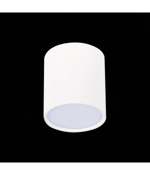 ST113.542.05 Светильник потолочный Белый LED 1*5W 4000K 390Lm Ra>80 120° IP20 D68xH75 170-240V RENE-foto4