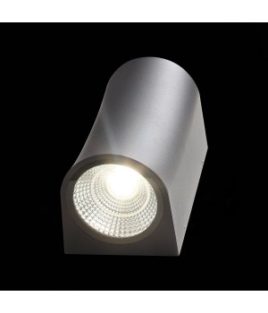 SL088.411.02 Светильник уличный настенный ST-Luce Черный кварцевый LED 2*5W 4000K DEALE-foto8