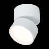 ST651.532.09 Светильник потолочный поворотный Белый LED 1*9W 3000K 720Lm Ra>90 120° IP20 D85xH87 170-240VV ST651
