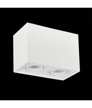 ST109.507.02 Светильник потолочный Мат. белый GU10 2*50W L181xW100xH123 220V Без ламп QUADRUS-foto4