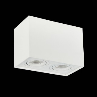 ST109.507.02 Светильник потолочный Мат. белый GU10 2*50W  L181xW100xH123 220V Без ламп QUADRUS-foto4