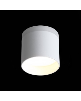ST102.502.12 Светильник потолочный Белый LED 1*12W 3000K 936Lm Ra>80 120° IP20 D100xH90 170-240V PANAGGIO-foto5