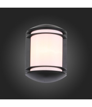 SL076.401.01 Светильник уличный настенный ST-Luce Черный/Белый E27 1*60W AGIO-foto5