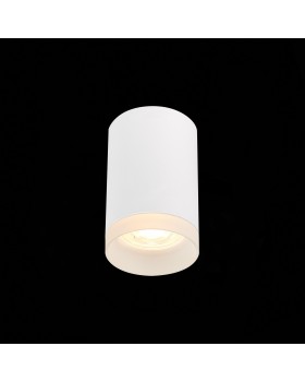 ST100.502.01 Светильник потолочный Белый GU10 1*50W IP20 D64xH99 220V Без ламп ST100-foto3