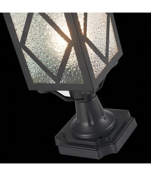 SL084.405.01 Светильник уличный наземный ST-Luce Черный/Черный, Прозрачный E27 1*60W LORNE-foto6