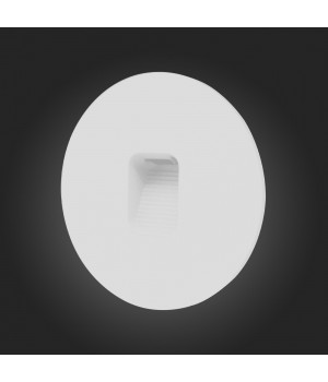 SL9501.501.01 Светильник уличный настенный ST-Luce Белый LED 1*1W 4000K VISANO-foto3