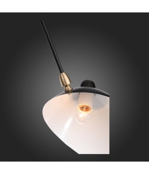 SL305.402.06 Люстра потолочная ST-Luce Черный/Черный, Белый E27 6*60W SPRUZZO-foto12