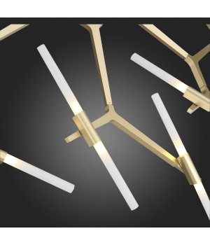 SL947.202.20 Люстра потолочная ST-Luce Золотой/Белый G9 20*3W LACONICITA-foto8